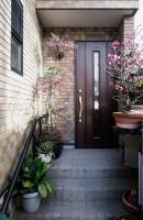 Nos prestations sur le secteur de Mauguio